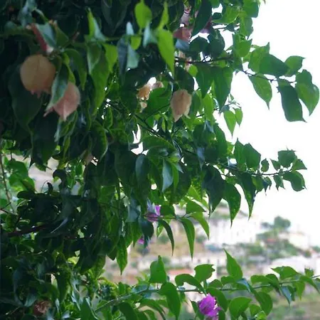 Casa de Férias Mariuccia House Amalfi